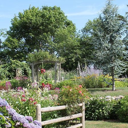 Lavender Bay Bed & Breakfast Барнстабъл Екстериор снимка